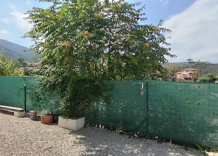 Studio Independant Dans Mas Provencal