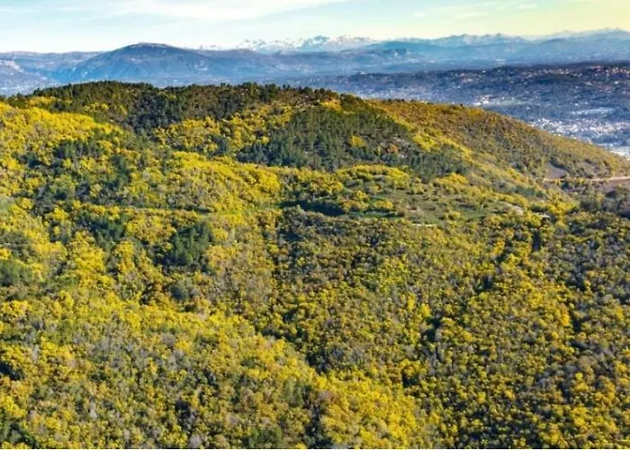 Studio indépendant dans màs provençal